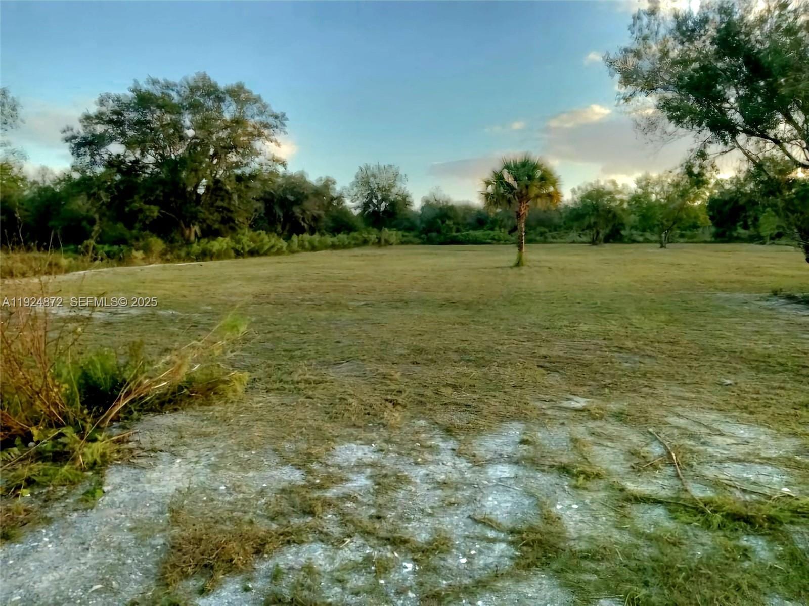 17212 NW 288 Street, Okeechobee, FL 34972 photo 4