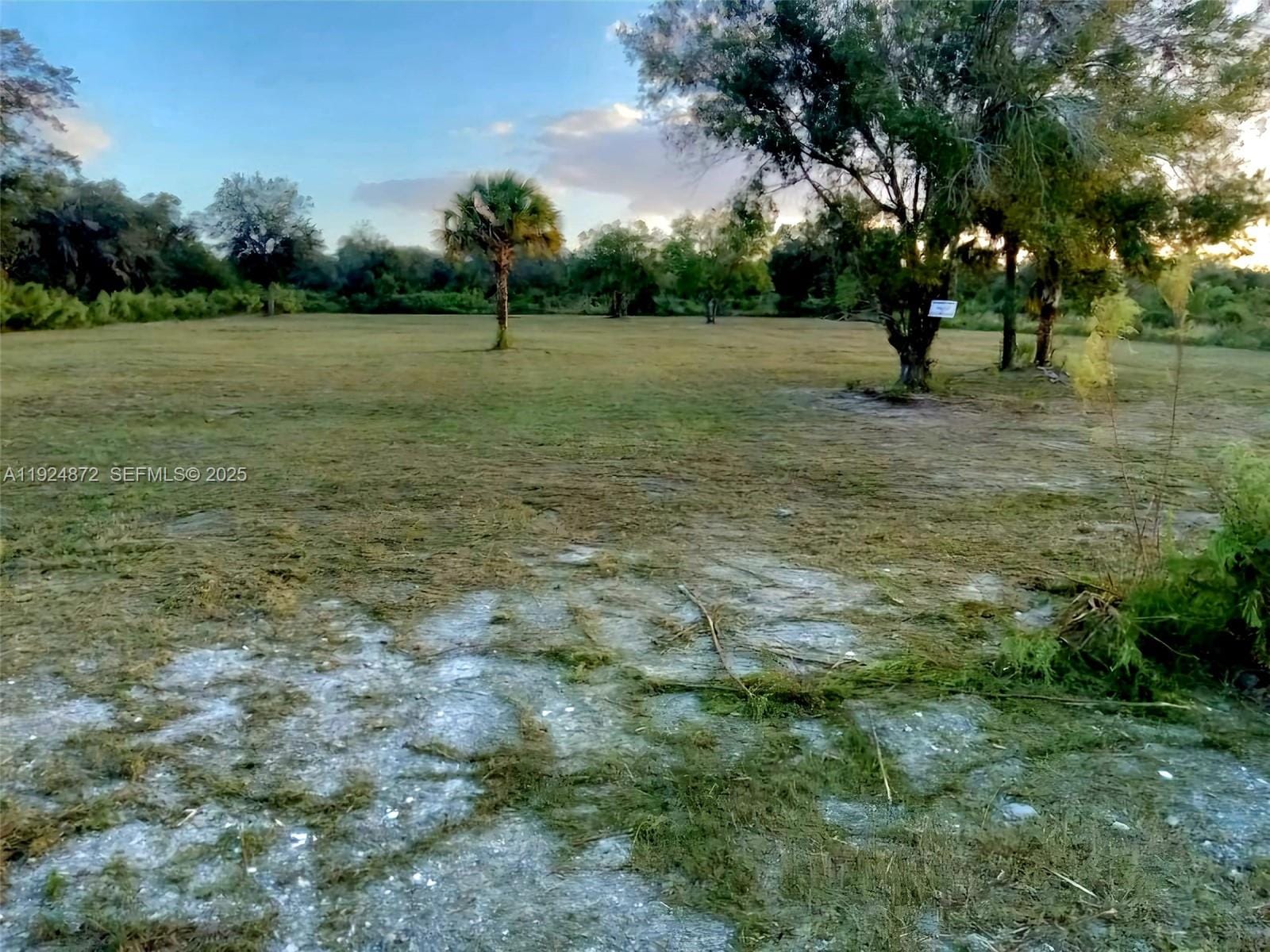 17212 NW 288 Street, Okeechobee, FL 34972 photo 5
