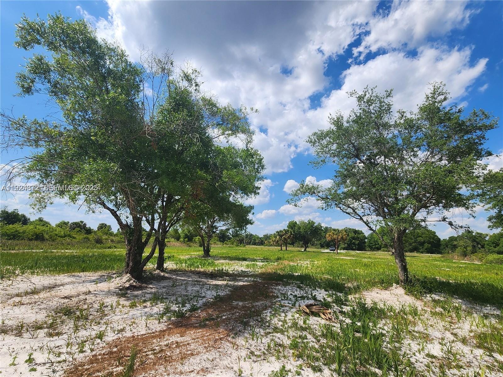 17212 NW 288 Street, Okeechobee, FL 34972 photo 7