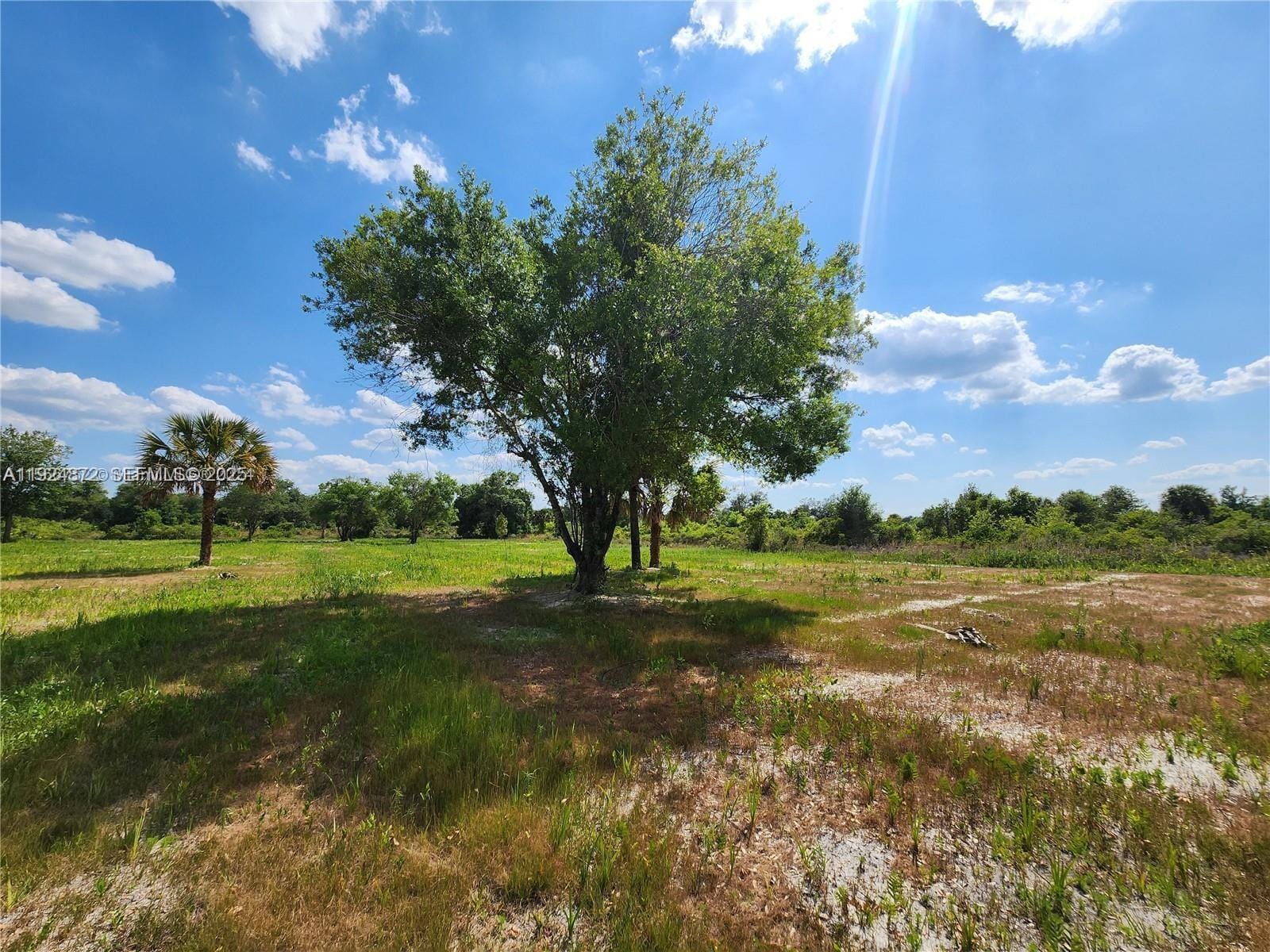 17212 NW 288 Street, Okeechobee, FL 34972 photo 8