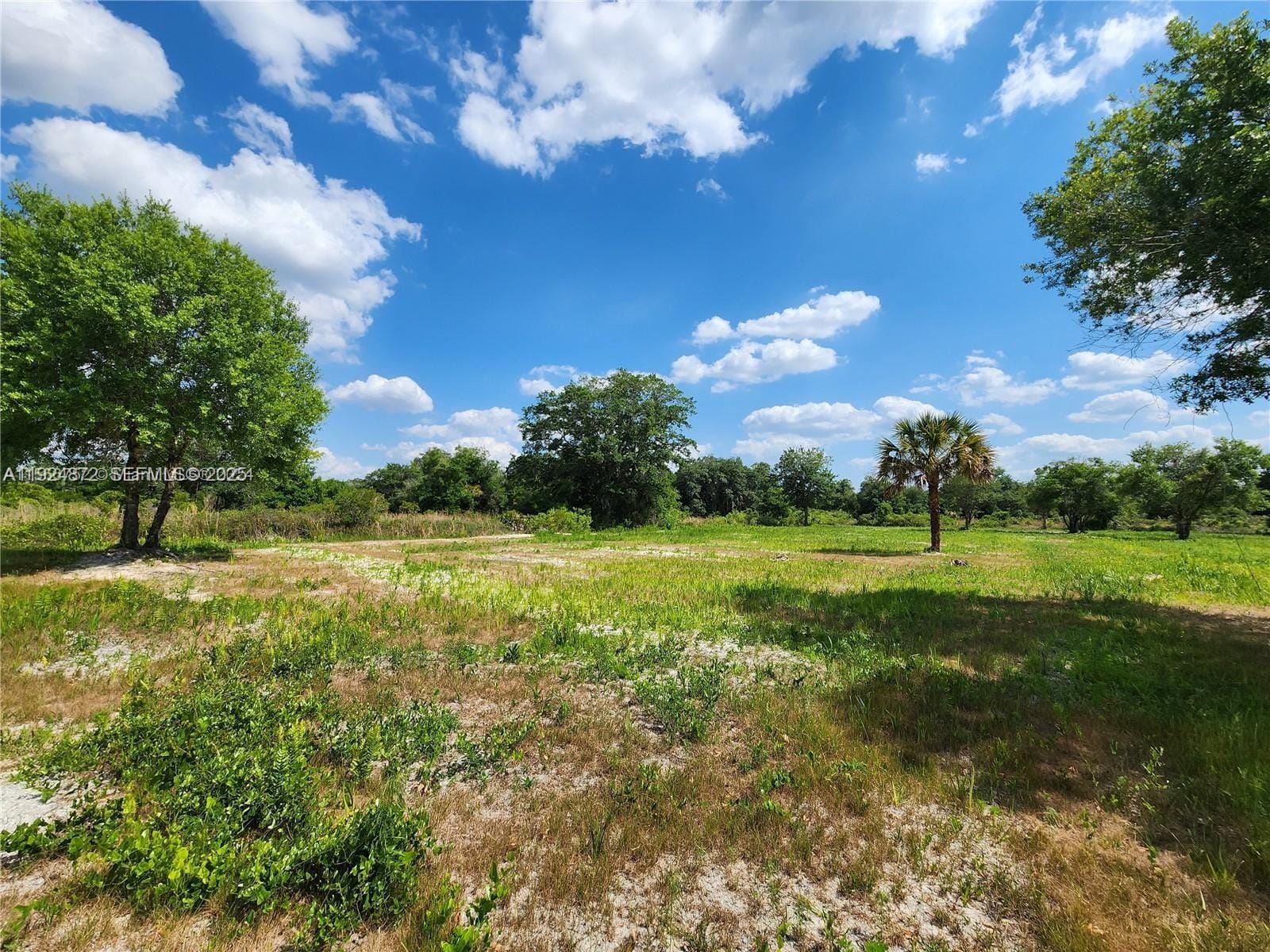 17212 NW 288 Street, Okeechobee, FL 34972 photo 9