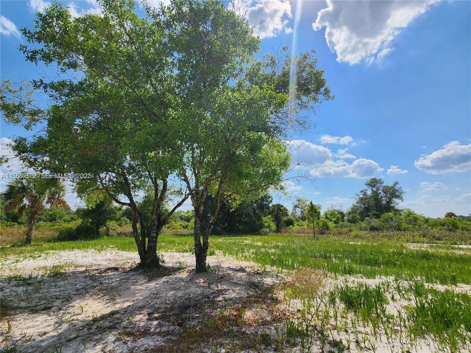 17212 NW 288 Street, Okeechobee, FL 34972 photo 10