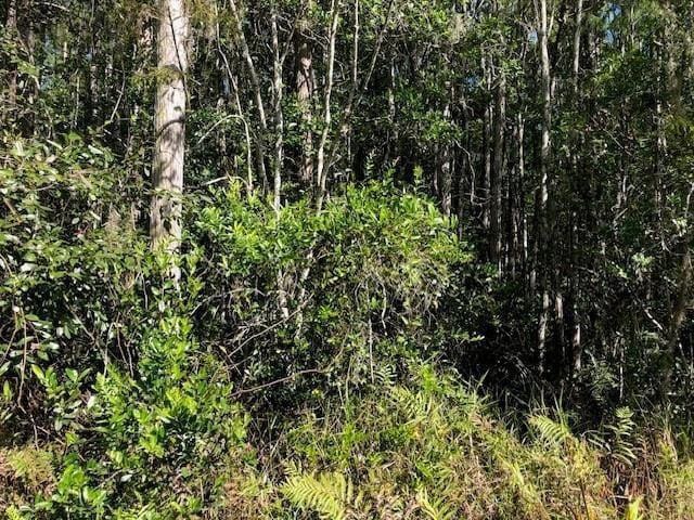 0 Old Grade Road — photo 3
