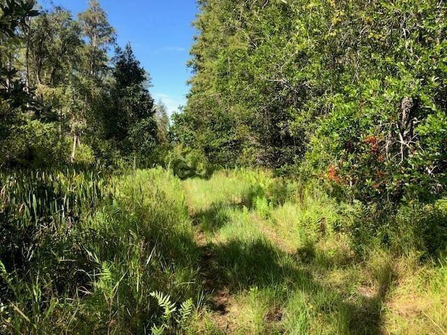 0 Old Grade Road, FL 33868, Polk City