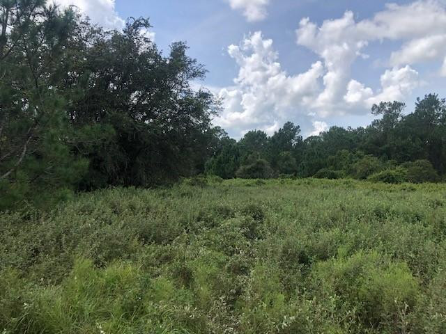 0 Old Grade Road, FL 33868, Polk City