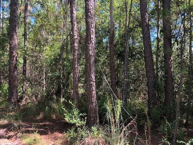 0 Old Grade Road — photo 2