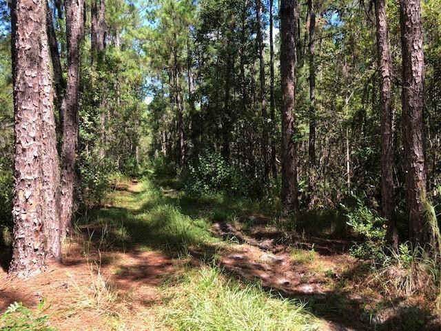 0 Old Grade Road, FL 33868, Polk City