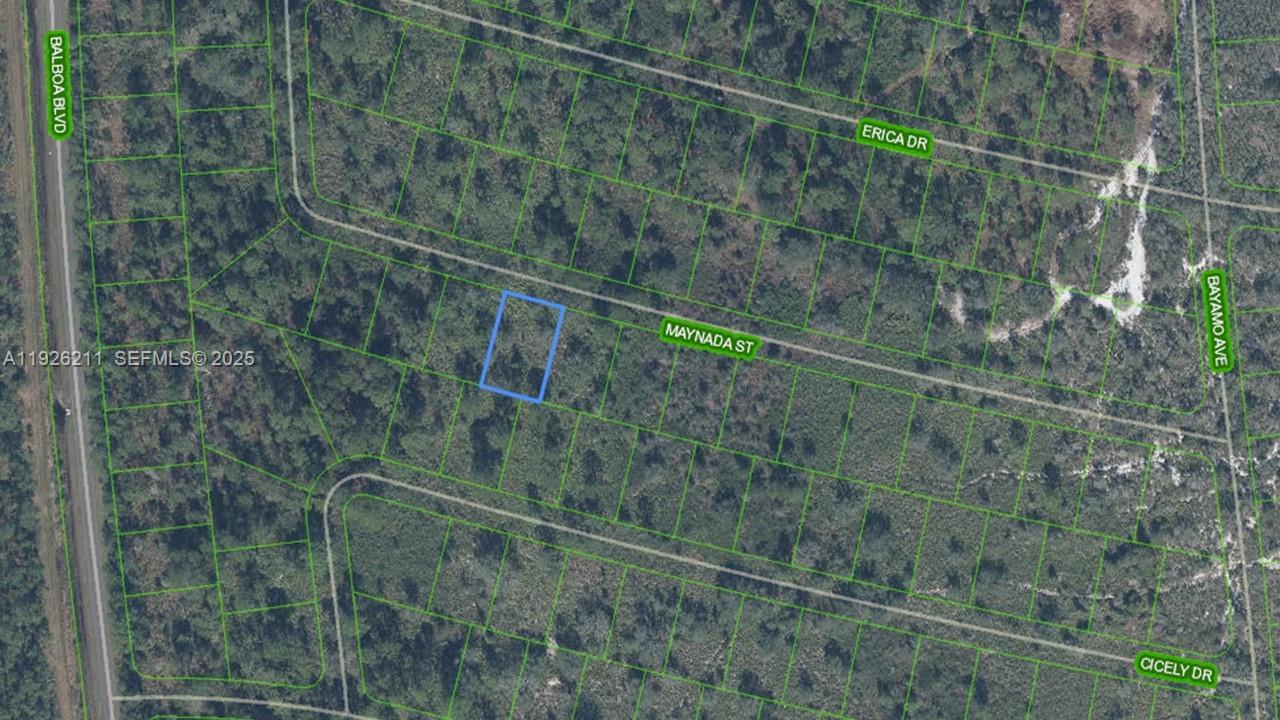 8725 Maynada Street, Sebring, FL 33872, Sebring
