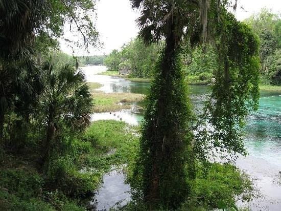lot1 SW Lot1 158th Court — photo 6