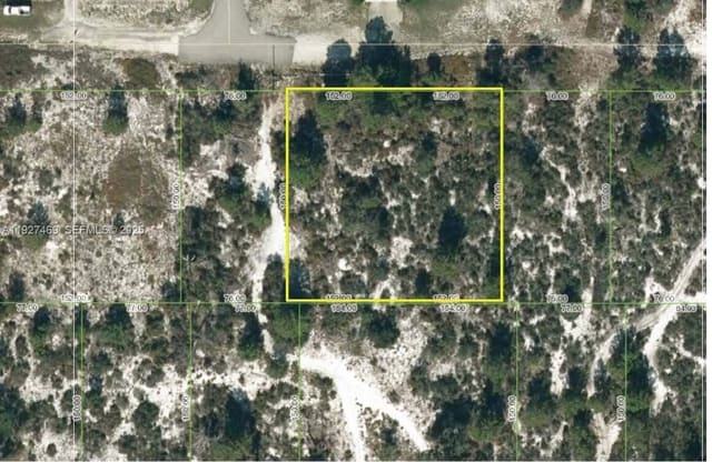 1013 Tennyson Street, Lake Placid, FL 33852