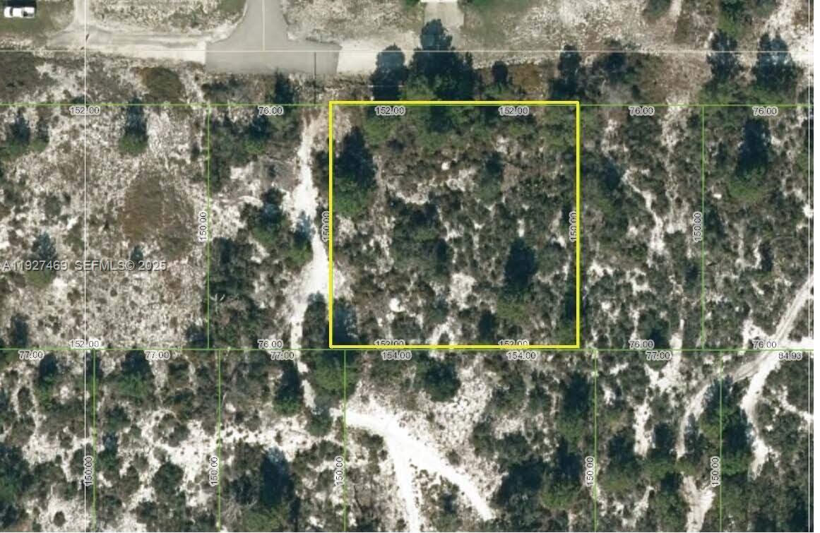 1013 Tennyson Street, Lake Placid, FL 33852, Lake Placid