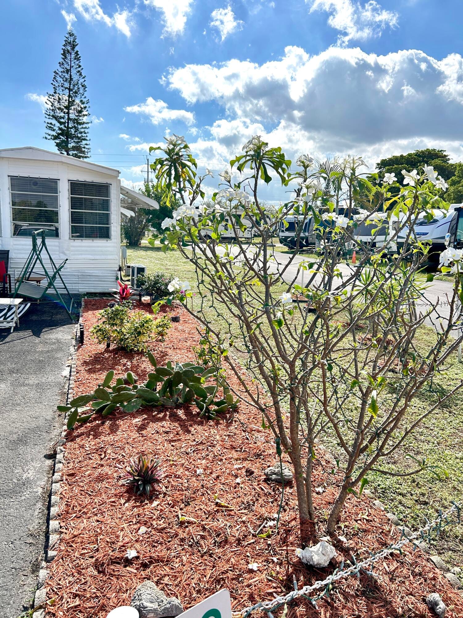 875 NE 48 Th St Lot 352, Deerfield Beach, FL 33064 photo 21