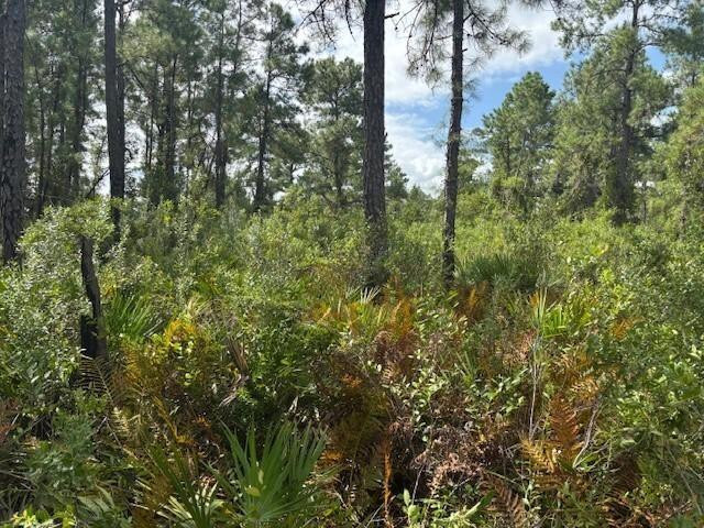 0 Hwy 630e, Frostproof, FL 33843, Frostproof