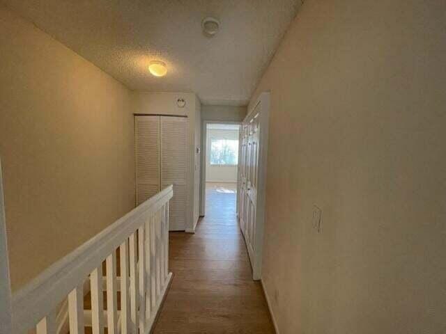 5219 Palmbrooke Circle — photo 12