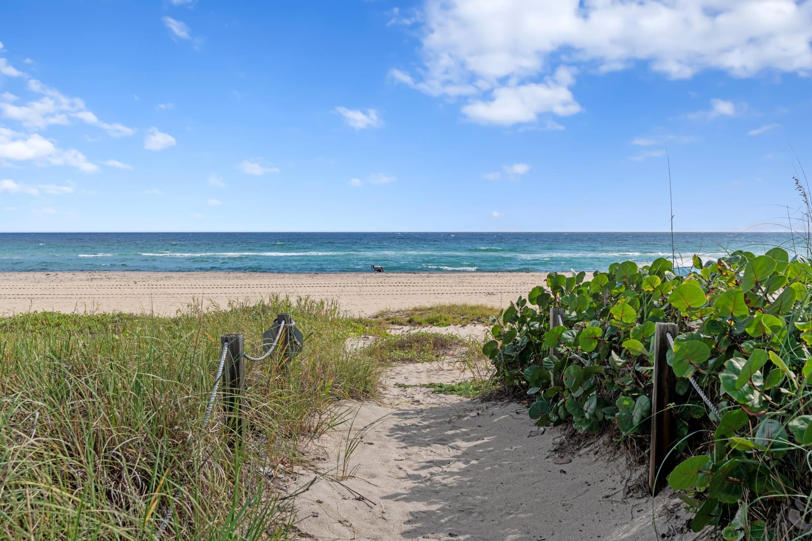 2580 S Ocean Boulevard 2c5, Palm Beach, FL 33480 photo 28