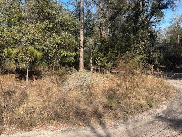 0 County Rd 54 — photo 2