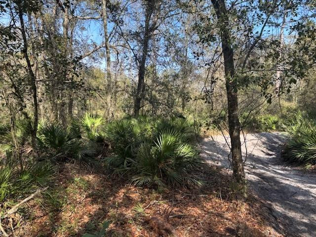 0 County Rd 54, Kathleen, FL 33849, Kathleen