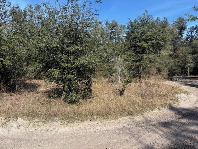 0 County Rd 54 — photo 2