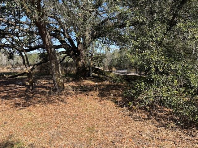 0 County Rd 54, Kathleen, FL 33849, Kathleen