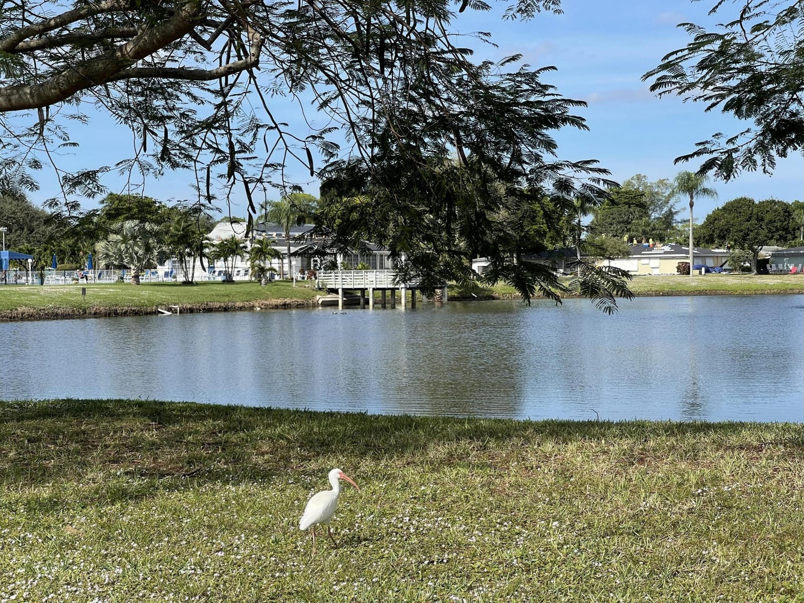 680 High Point Boulevard N C, Delray Beach, FL 33445 photo 25