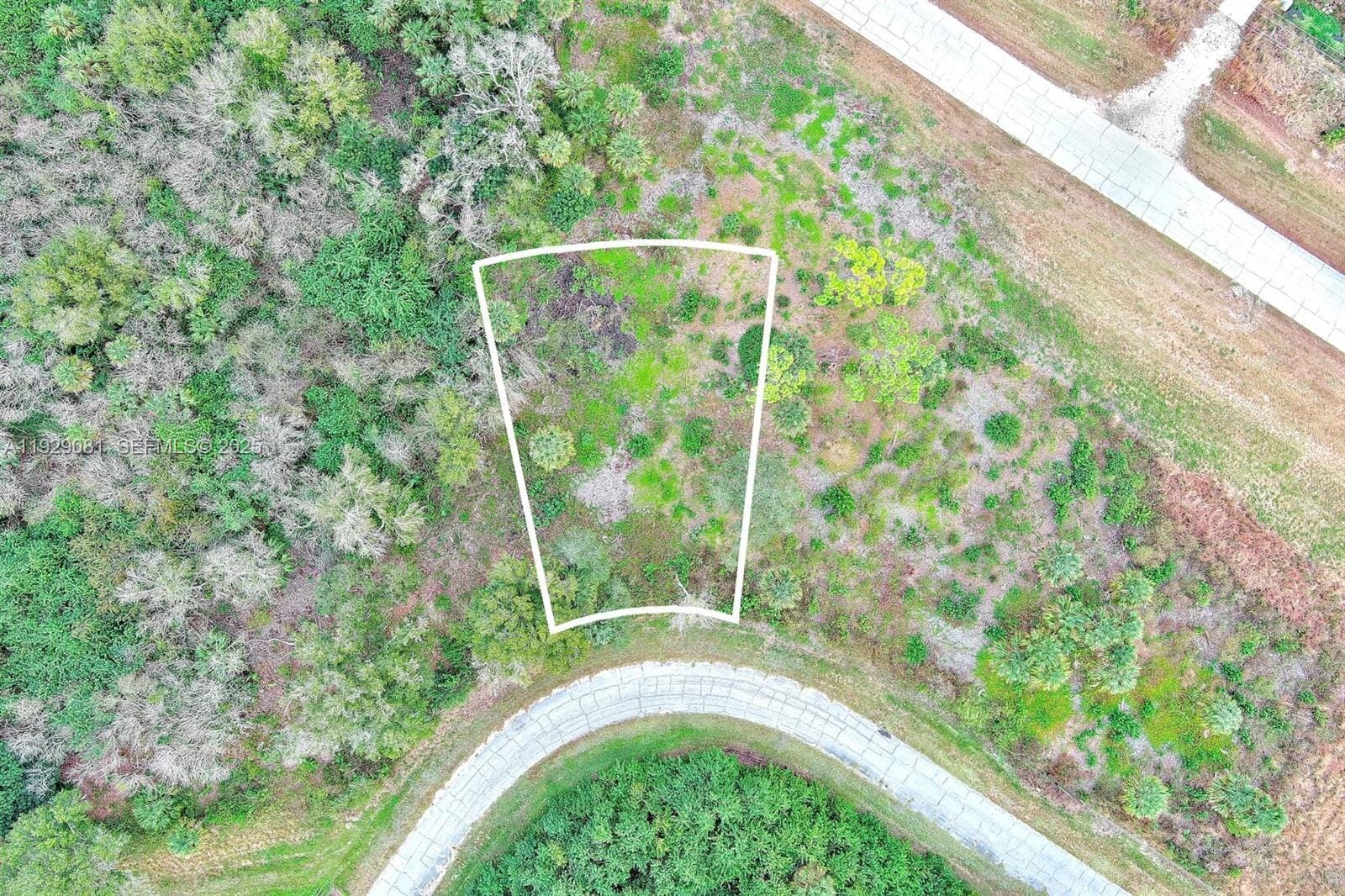 171 Carousel Avenue, LaBelle, FL 33935 photo 2