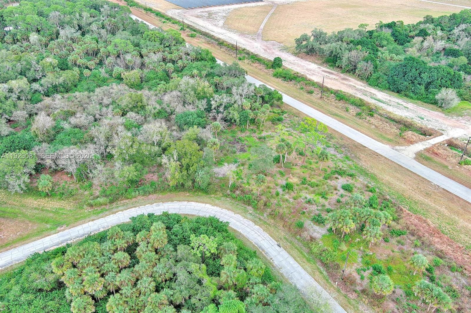 171 Carousel Avenue, LaBelle, FL 33935 photo 16