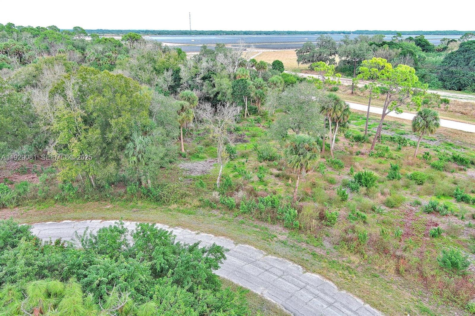 171 Carousel Avenue, LaBelle, FL 33935 photo 3