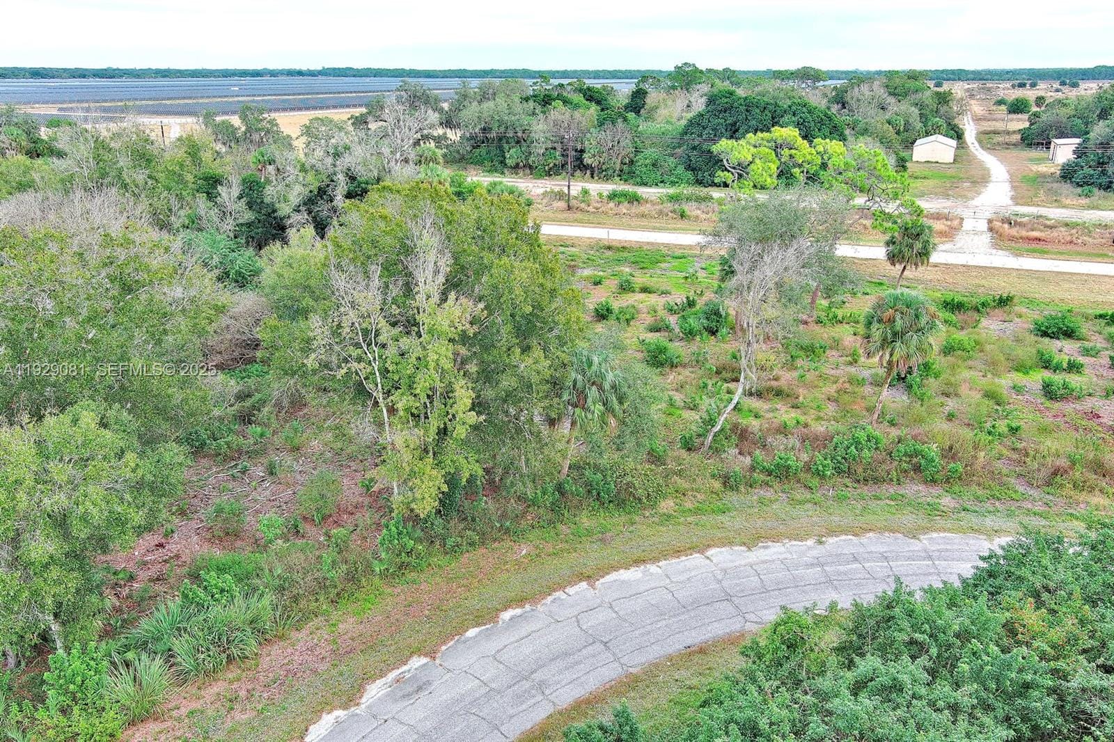 171 Carousel Avenue, LaBelle, FL 33935 photo 4