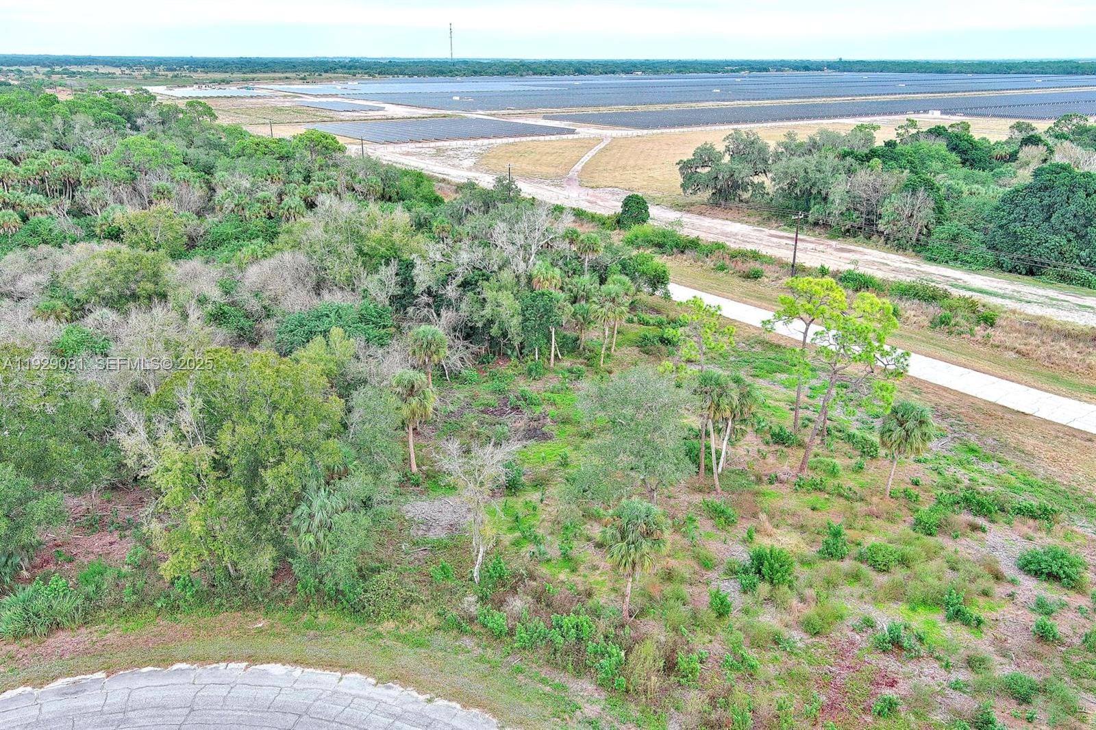 171 Carousel Avenue, LaBelle, FL 33935 photo 5