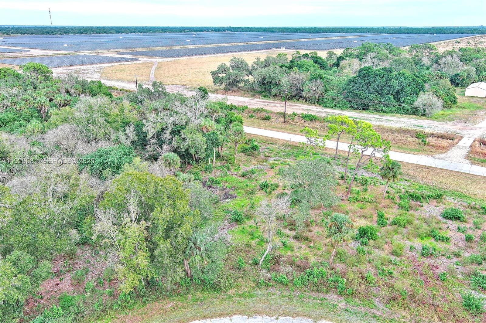 171 Carousel Avenue, LaBelle, FL 33935 photo 8