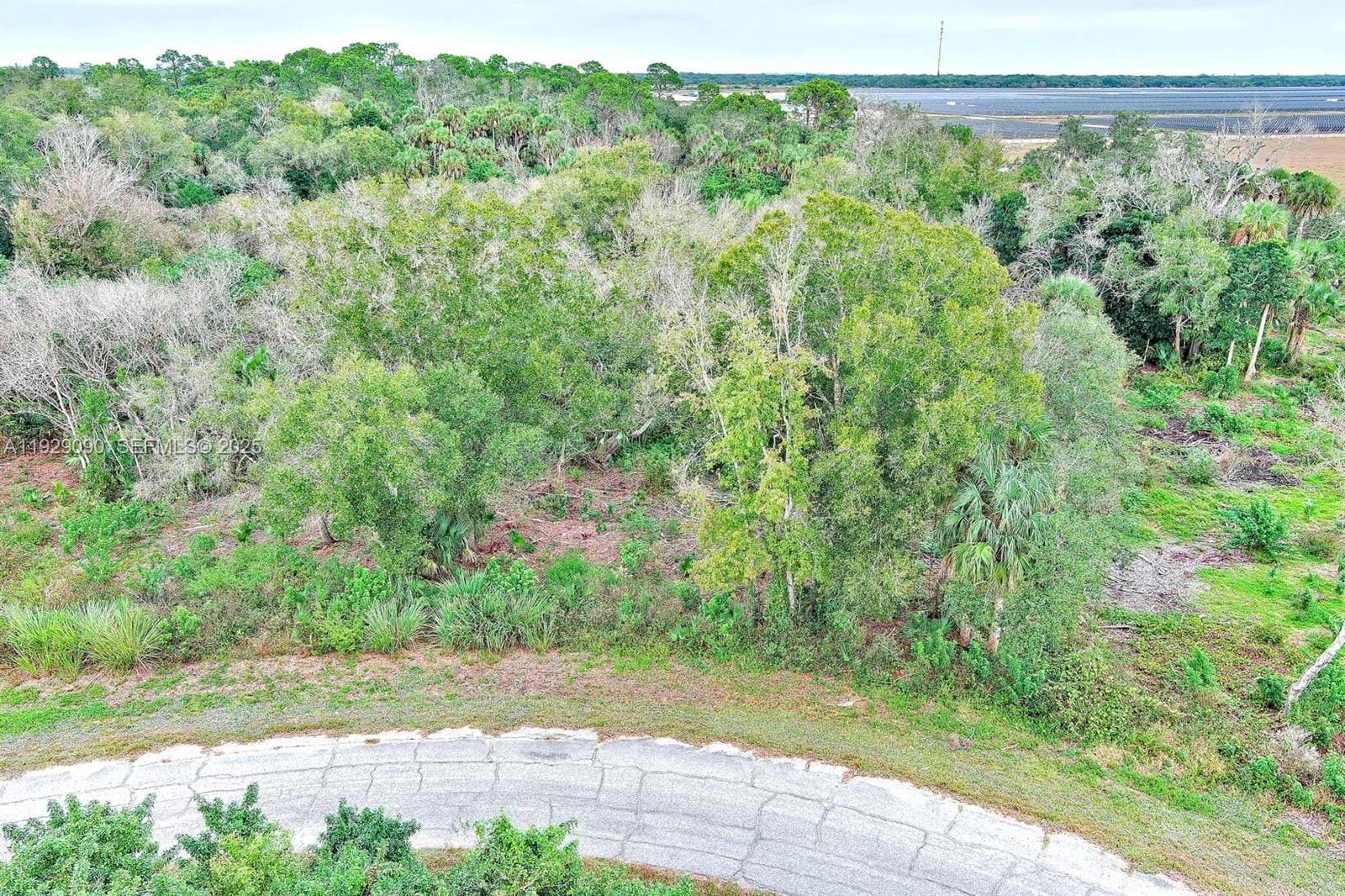 173 Carousel Avenue, LaBelle, FL 33935