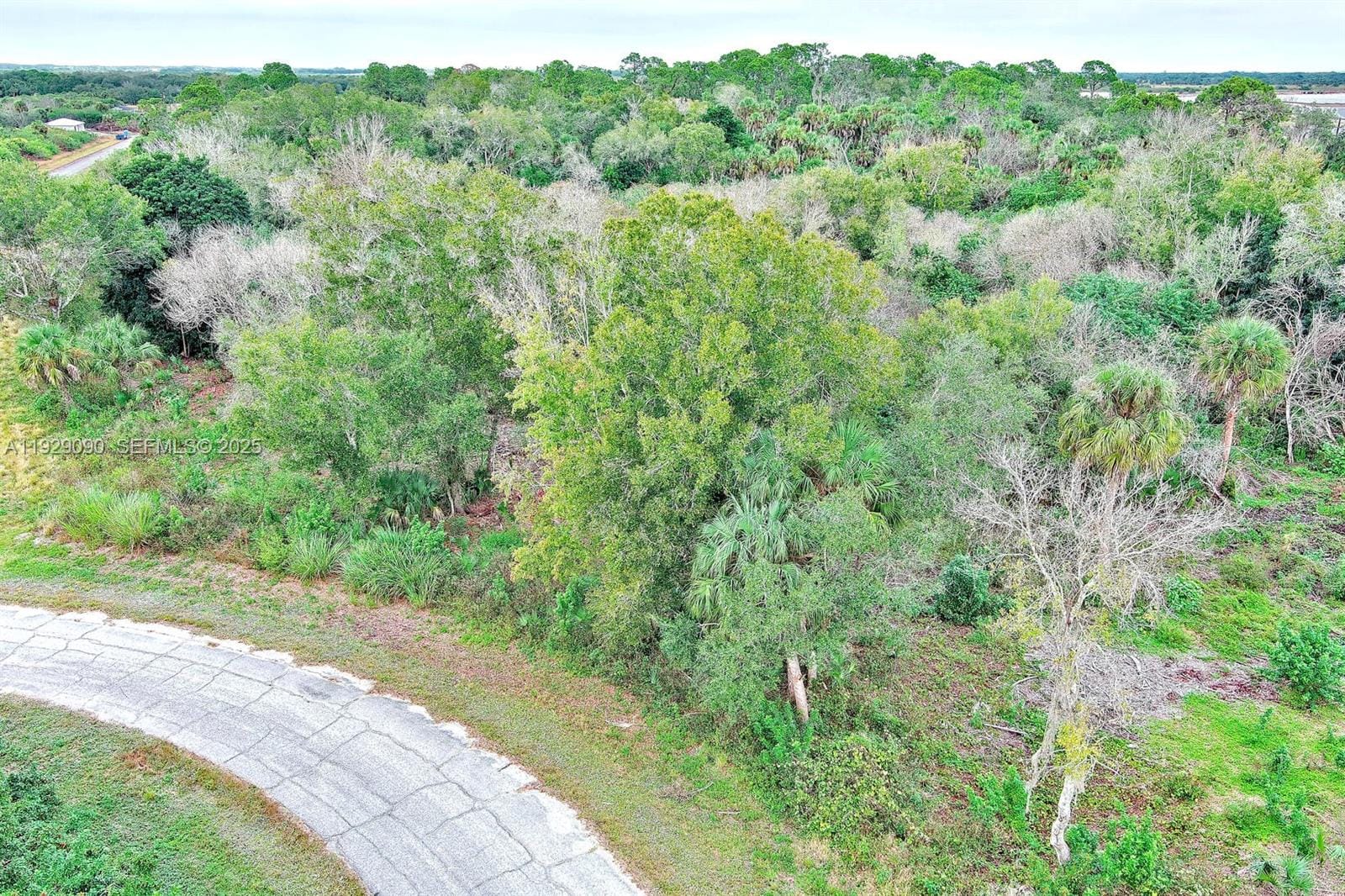 173 Carousel Avenue, LaBelle, FL 33935 photo 4