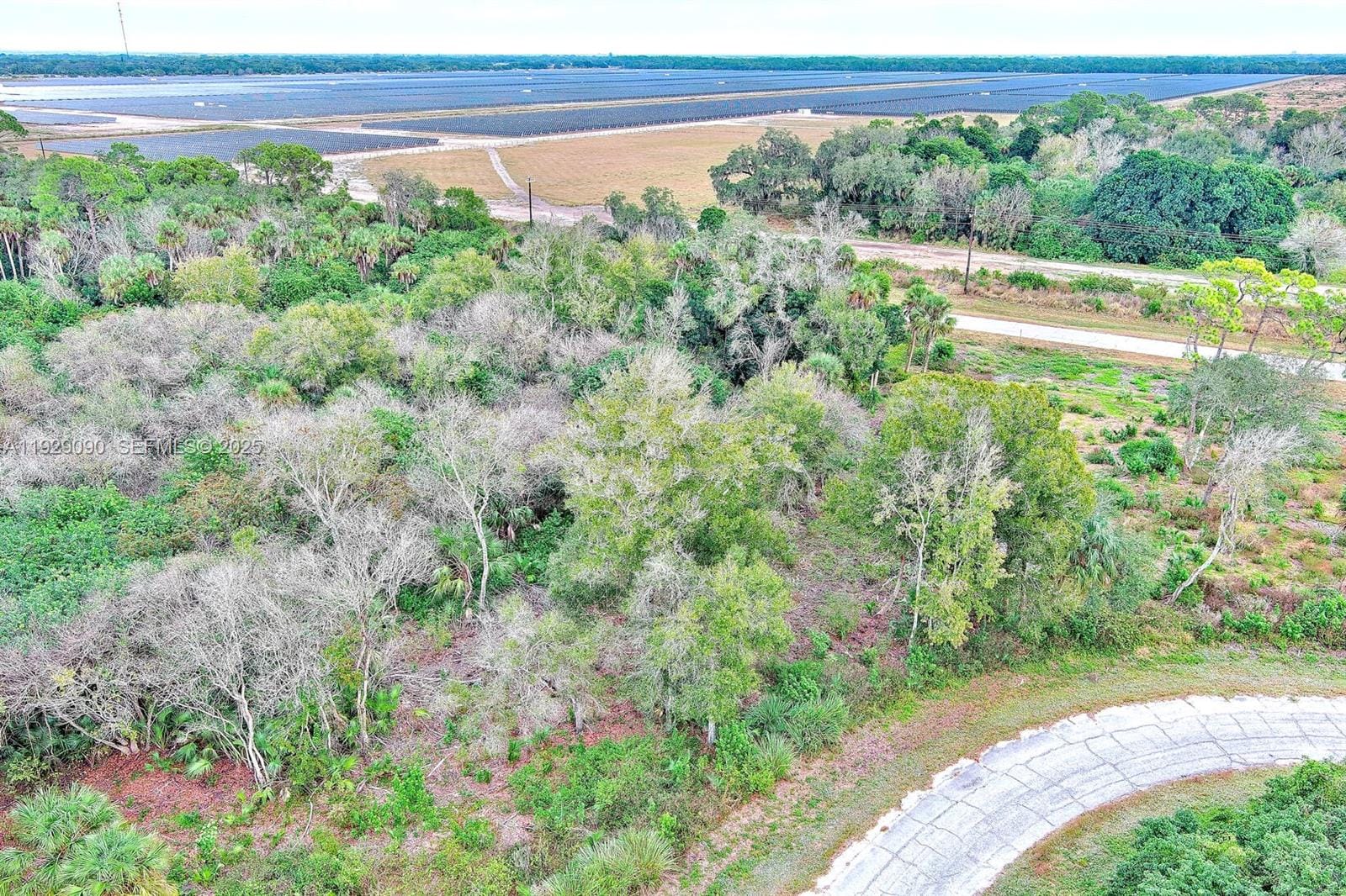 173 Carousel Avenue, LaBelle, FL 33935 photo 5