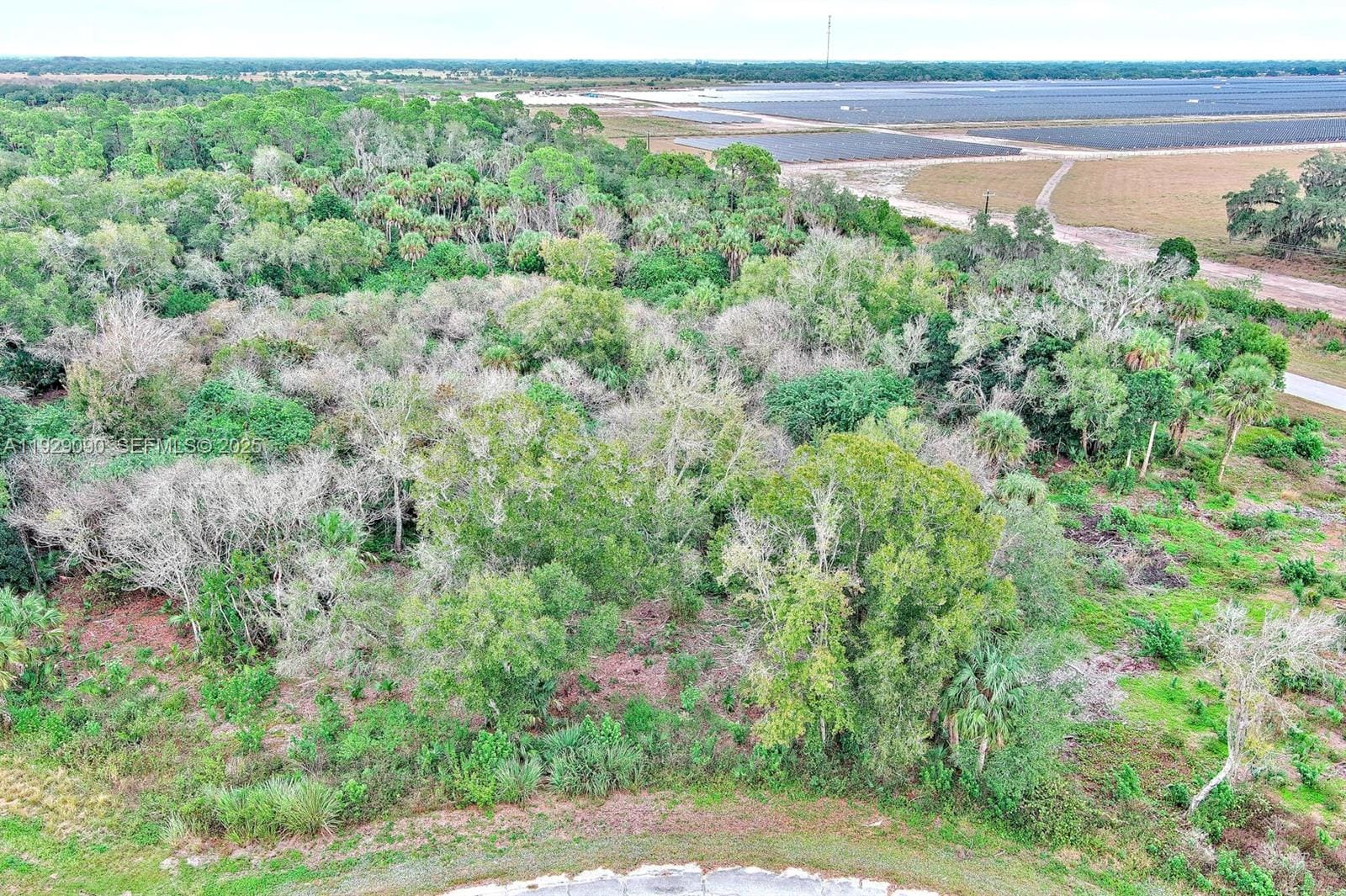 173 Carousel Avenue, LaBelle, FL 33935 photo 8