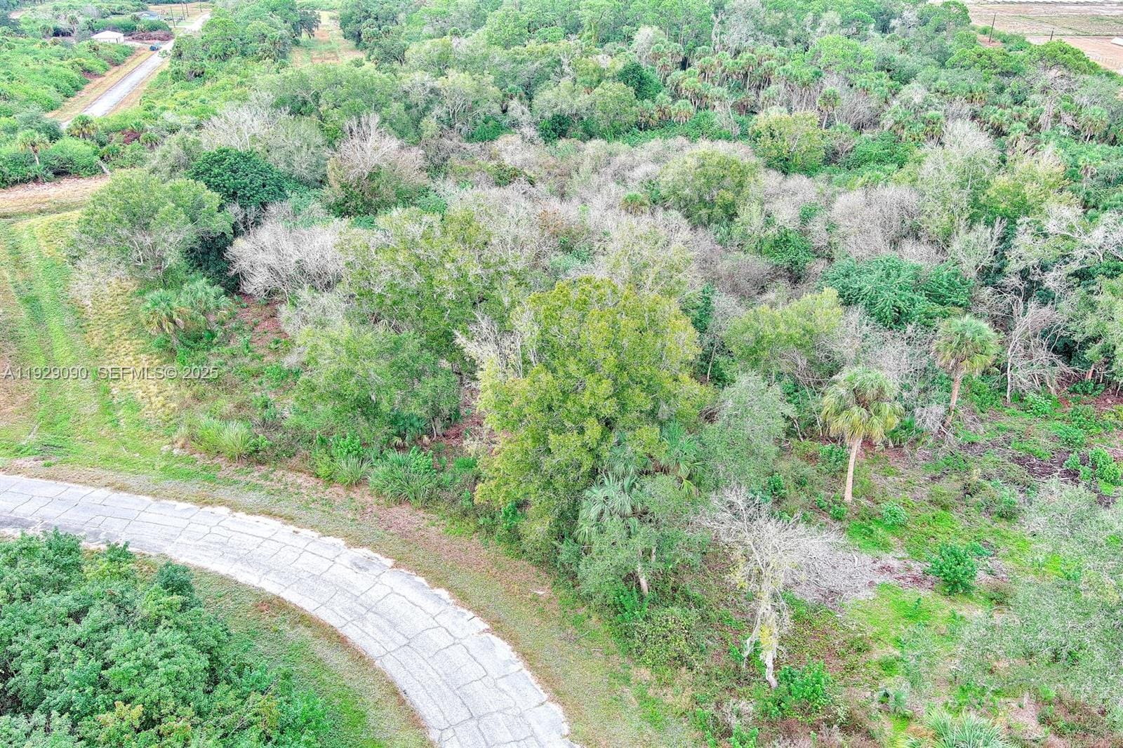 173 Carousel Avenue, LaBelle, FL 33935 photo 10