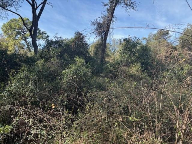 0 County Rd 54 — photo 2