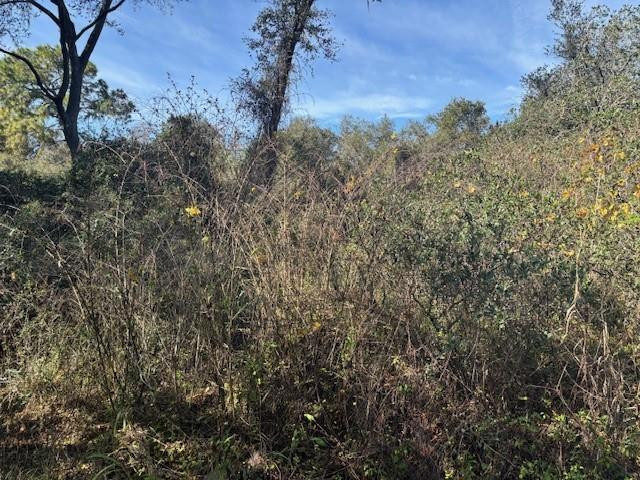 0 County Rd 54, Kathleen, FL 33849, Kathleen
