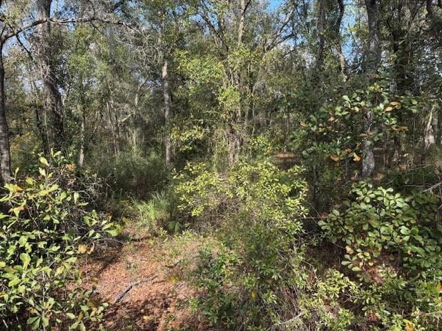 0 County Rd 54 — photo 2