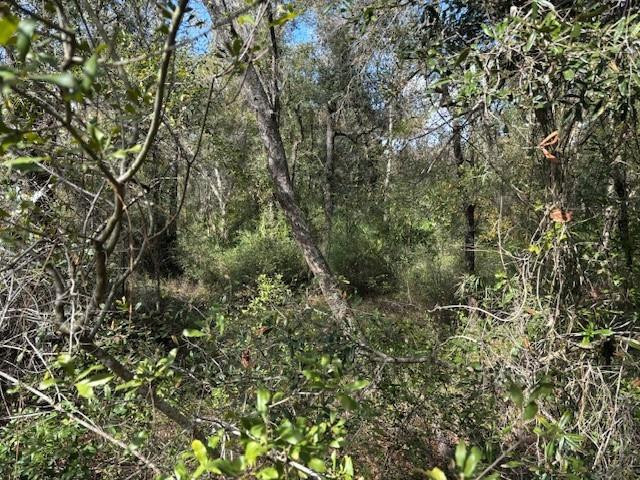 0 County Rd 54, Kathleen, FL 33849, Kathleen