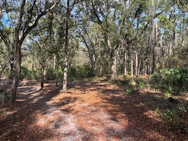 0 County Rd 54, Kathleen, FL 33849, Kathleen