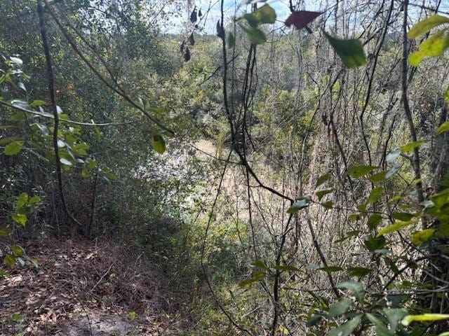 0 County Rd 54 — photo 2