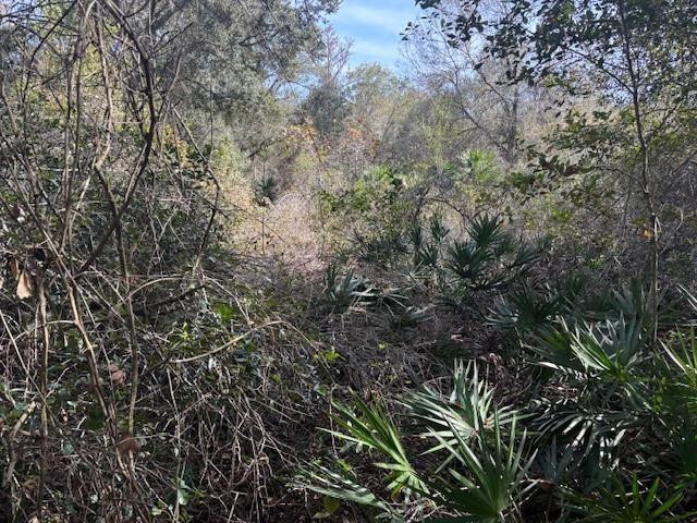 0 County Rd 54, Kathleen, FL 33849, Kathleen