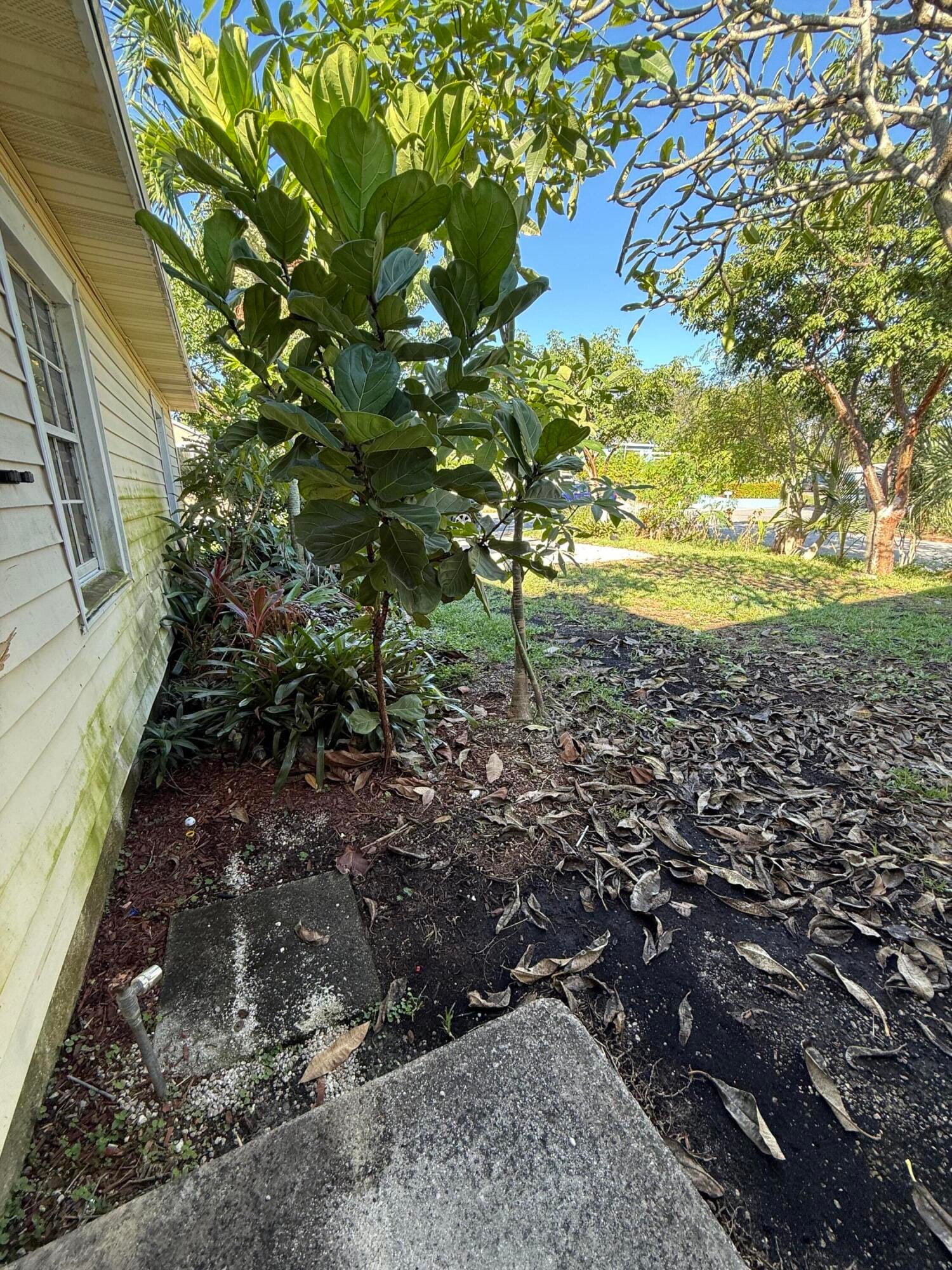 716 S Pine Street — photo 11