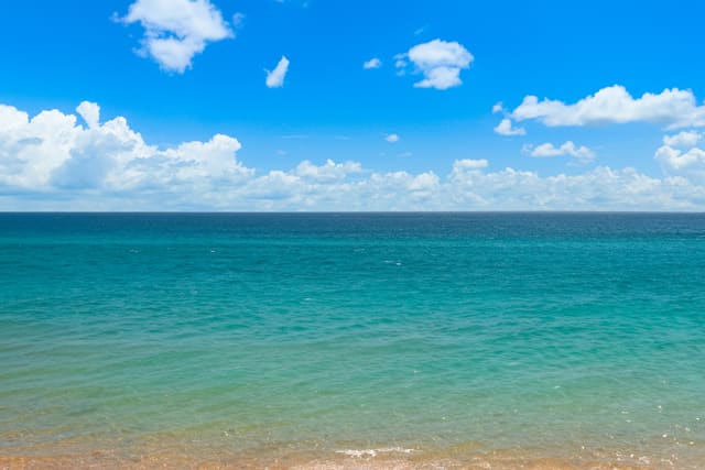 1578 S Ocean Lane 114, sold in Oceanage Condo, Fort Lauderdale, FL
