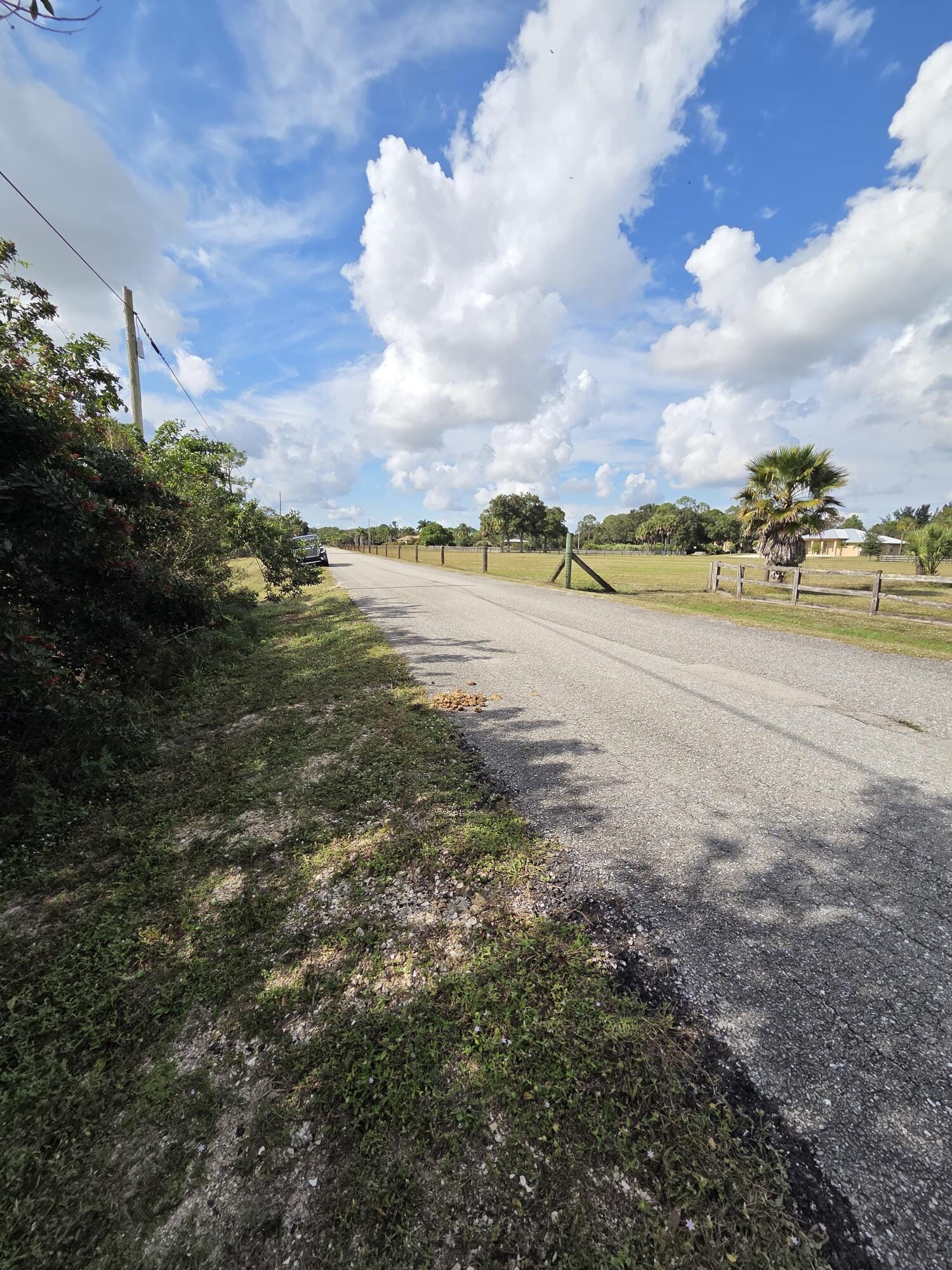 19542 Green Grove Court — photo 4