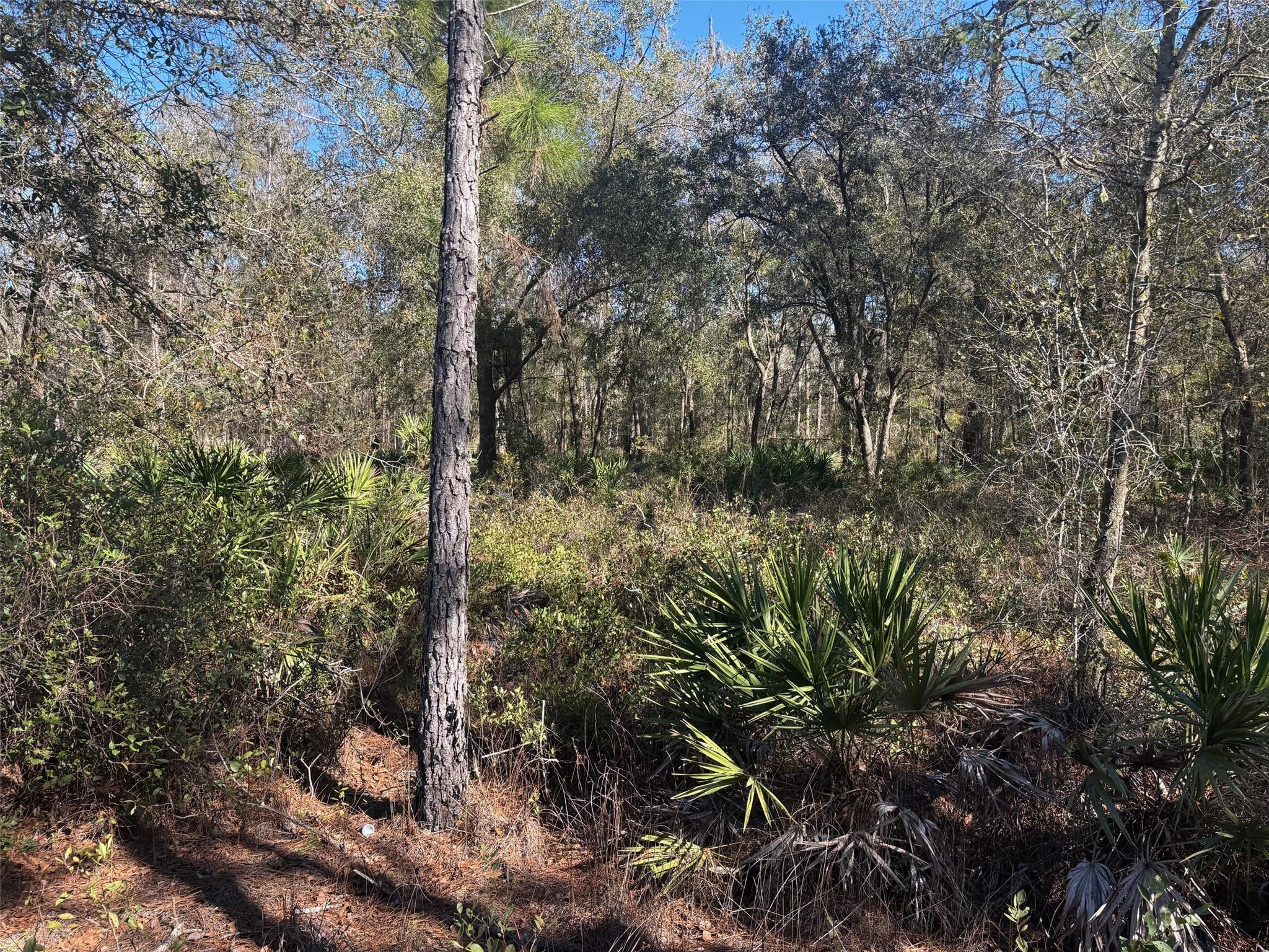 0 County Rd 54, Kathleen, FL 33849, Kathleen