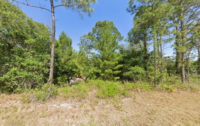 1001 Hummingbird Street, sold in Leisure Lakes, Lake Placid, FL