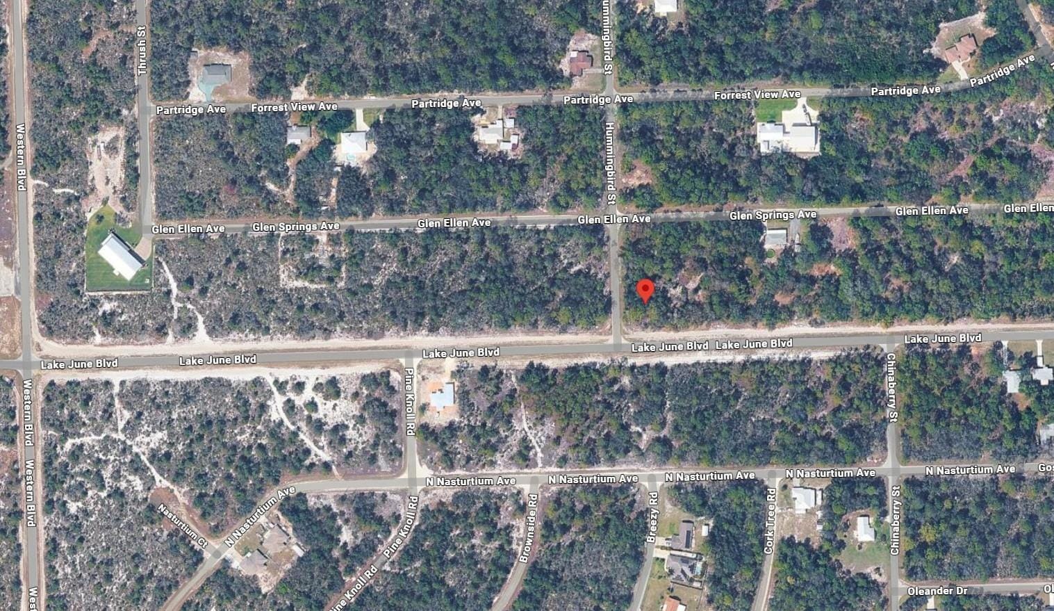 1001 Hummingbird Street, Lake Placid, FL 33852 photo 2