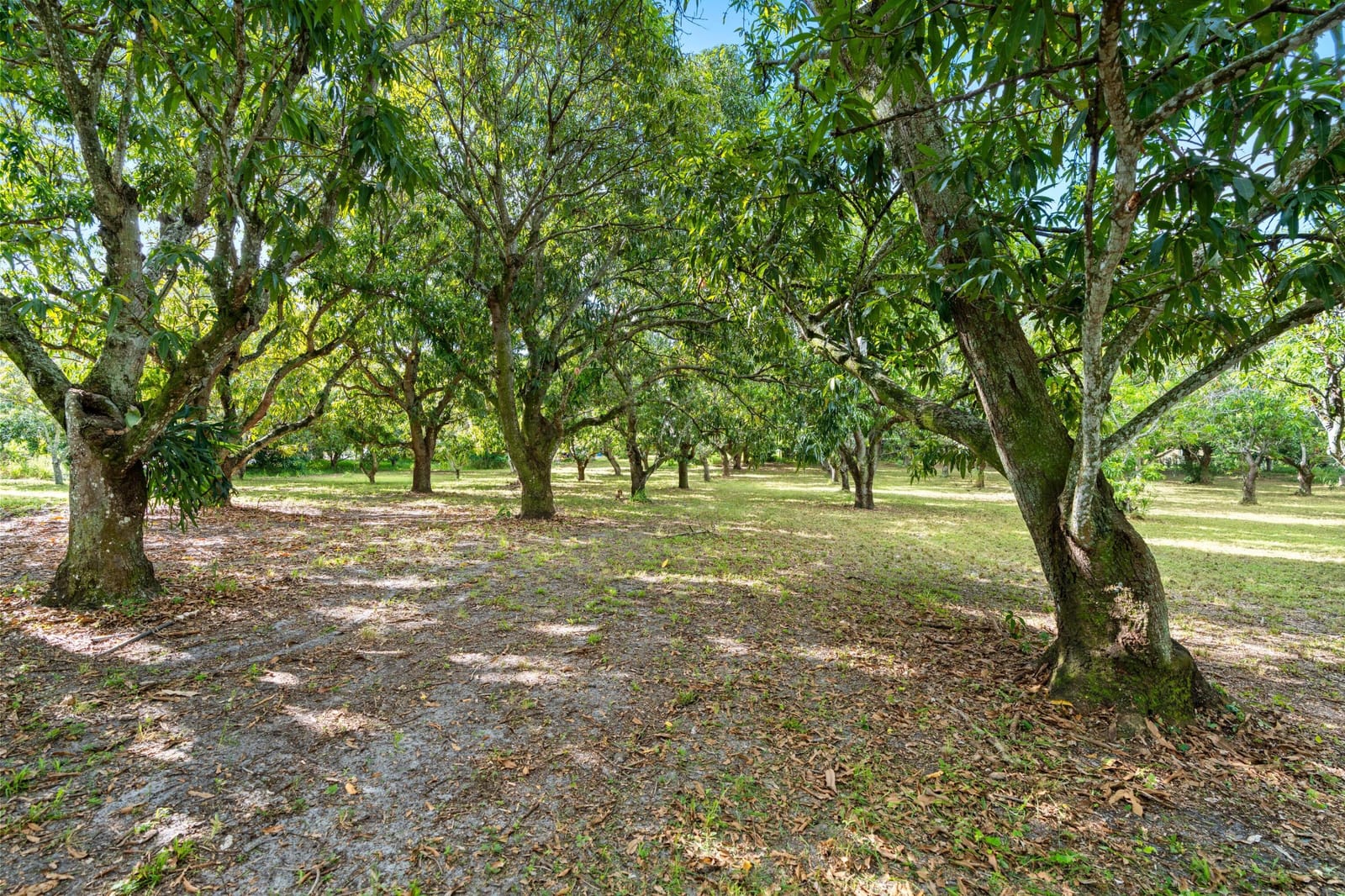 1908 Hypoluxo Road, Lake Worth, FL 33462 photo 10
