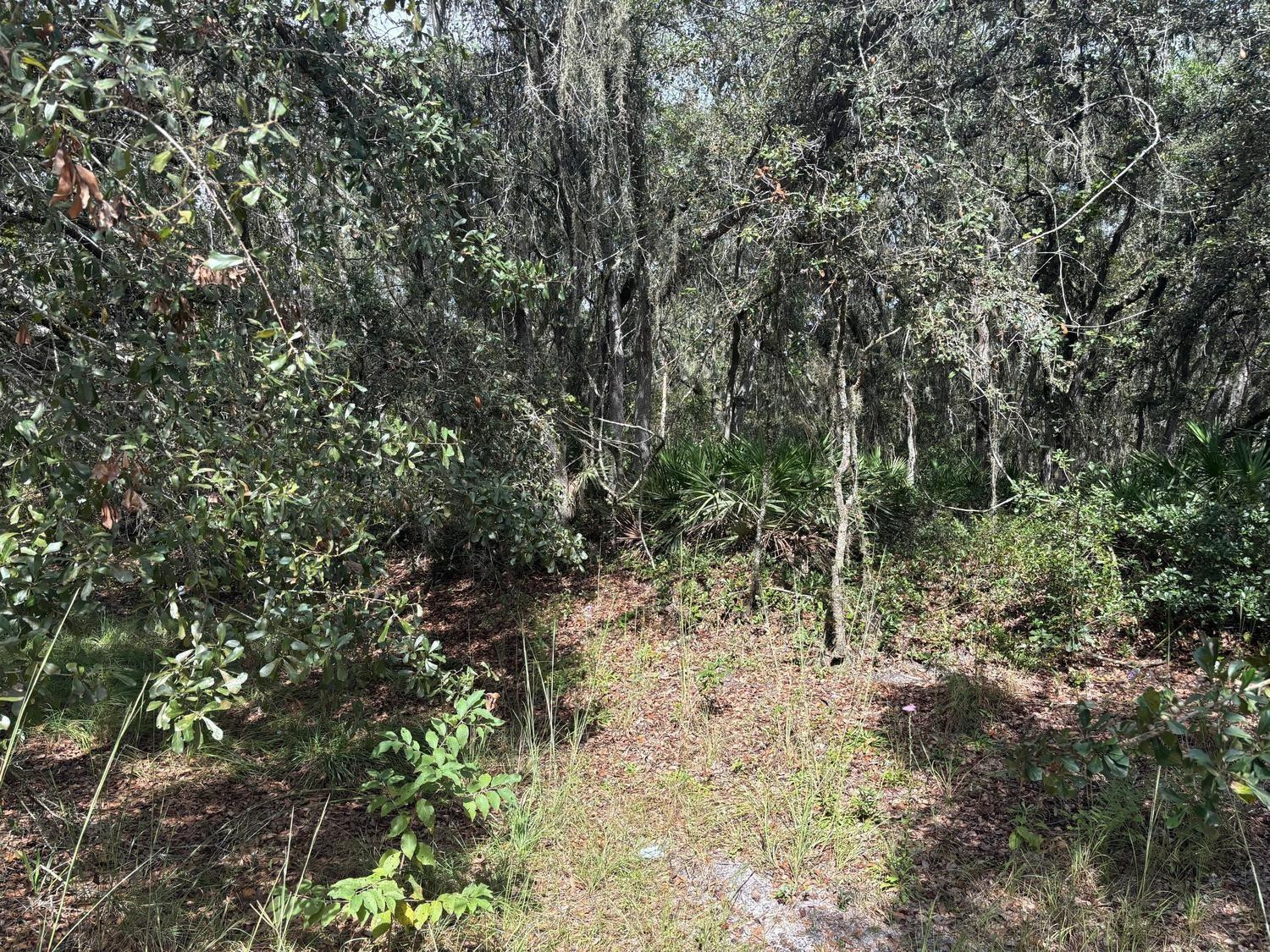 0 County Rd 54, Kathleen, FL 33849, Kathleen
